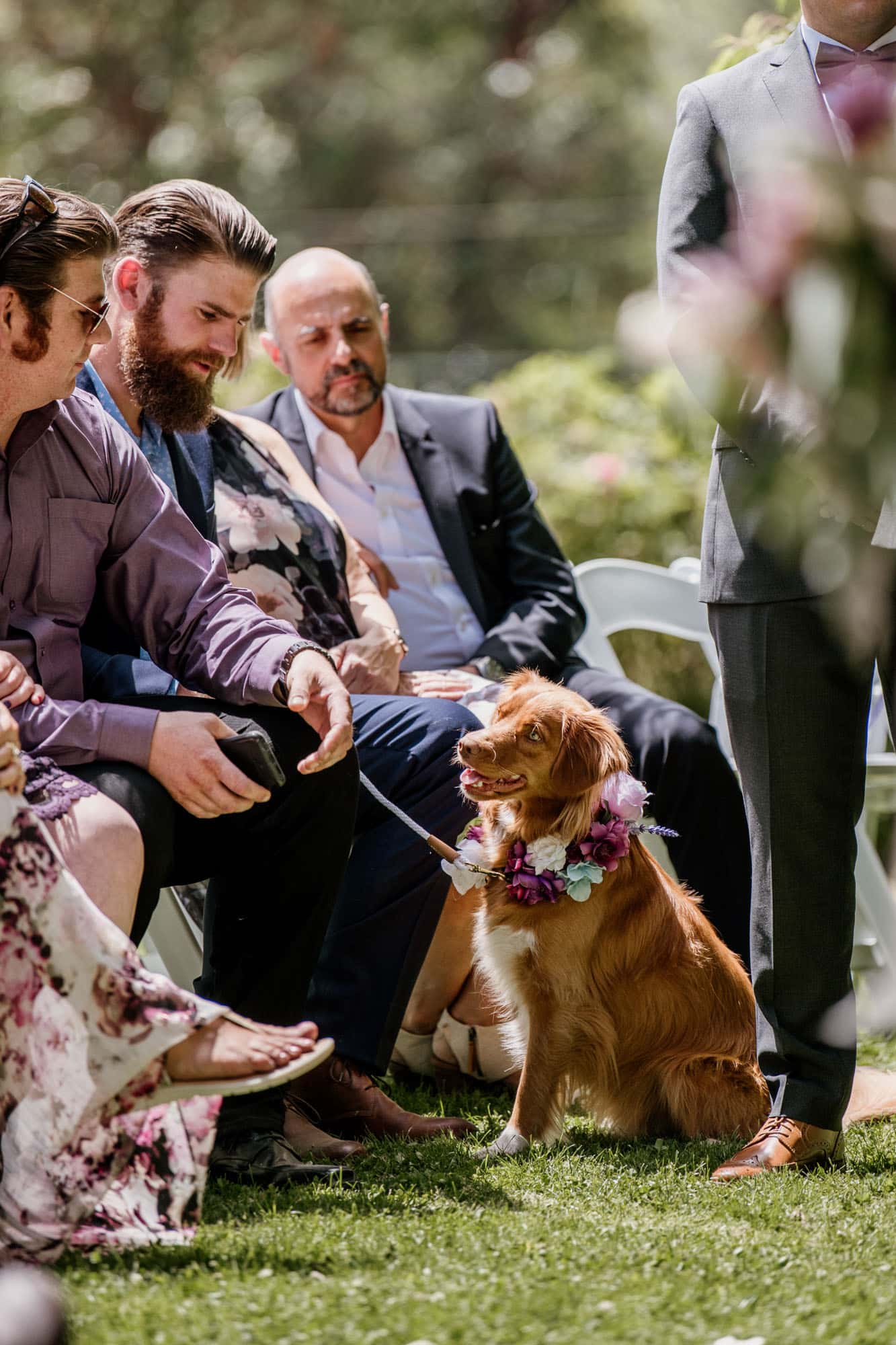 Victoria Photographer Starling Lane Ward Room Wedding Photography