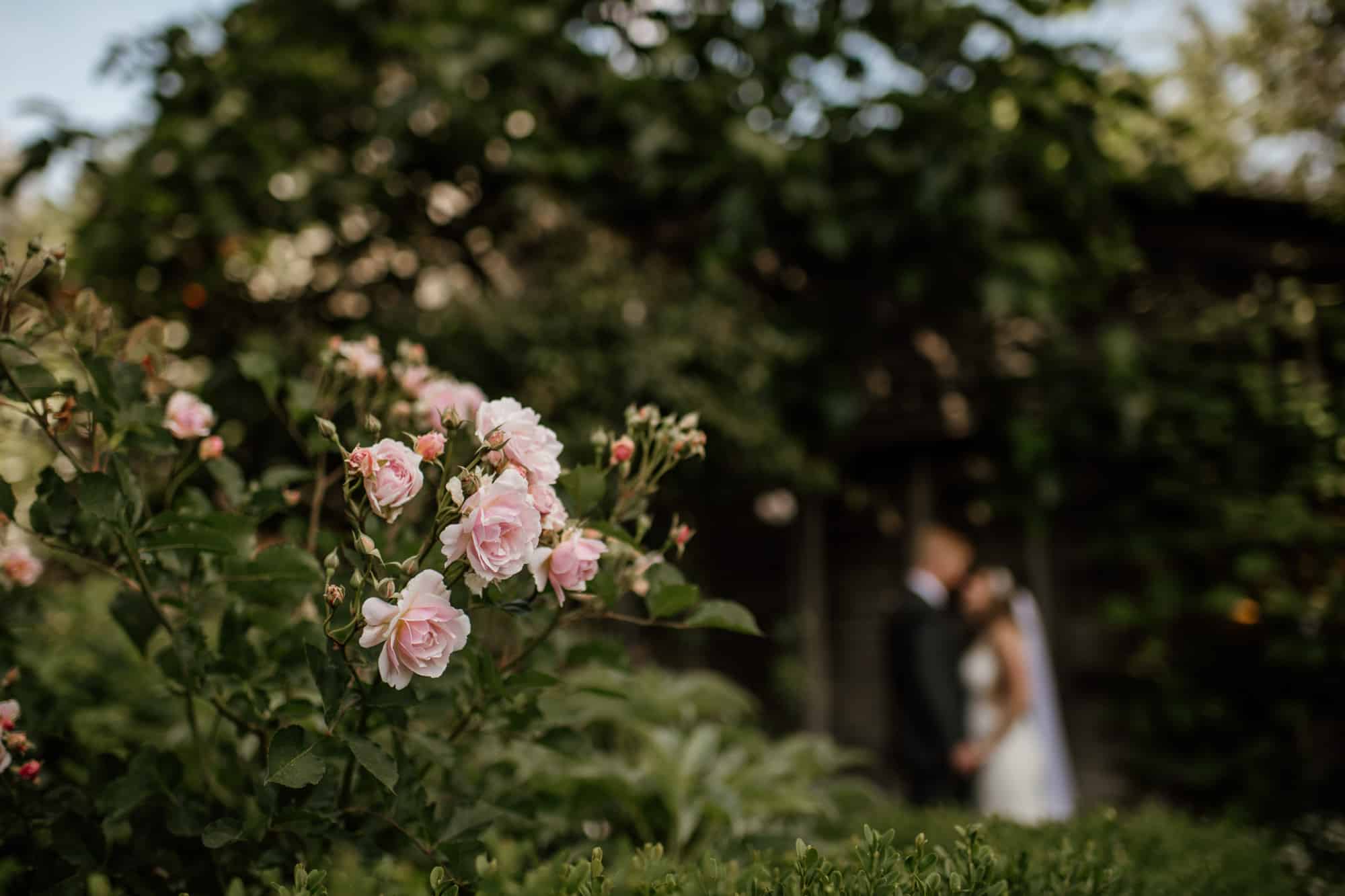 Victoria Photographer Starling Lane Ward Room Wedding Photography