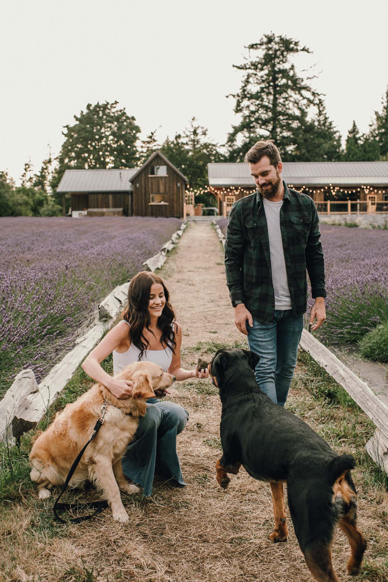 Bilston Creek Farm Engagement Weddings Photos Lavender Farm Victoria BC-1