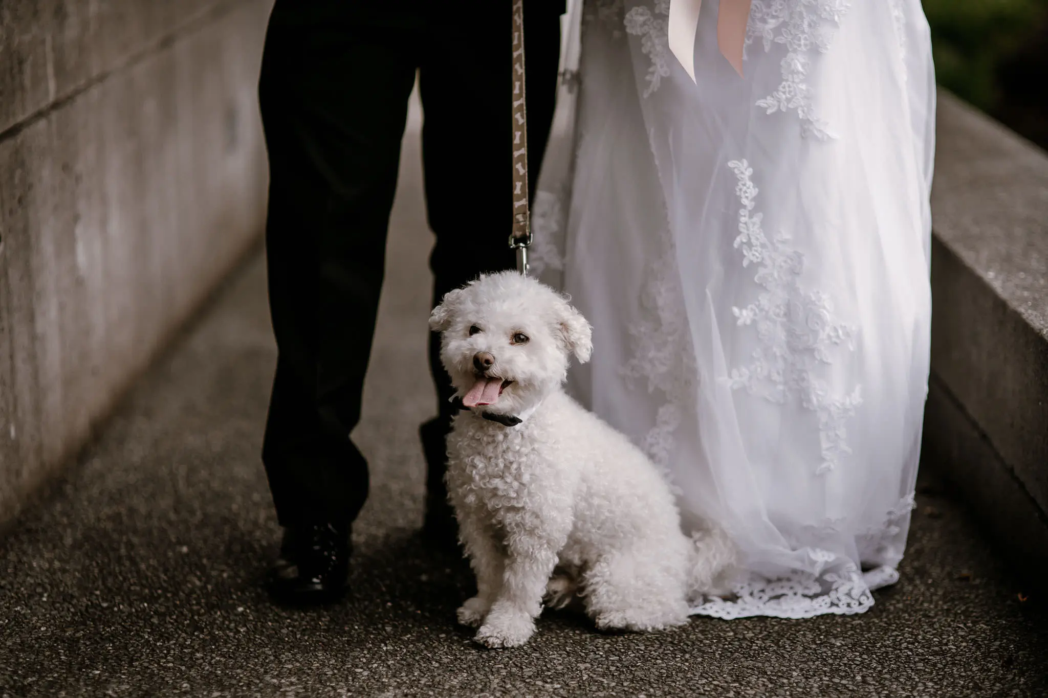 Inn at Laurel Point Weddings Photographers Victoria BC