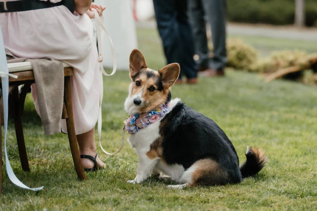St.-Johns-NL-Wedding-Photographer-Wedding-Photography-Newfoundland-and-Labrador