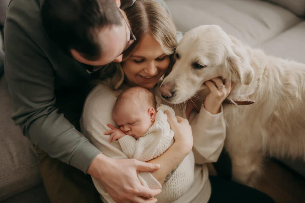 Newborn Photography St. John's NL Photographer Babies In-Home With Pets