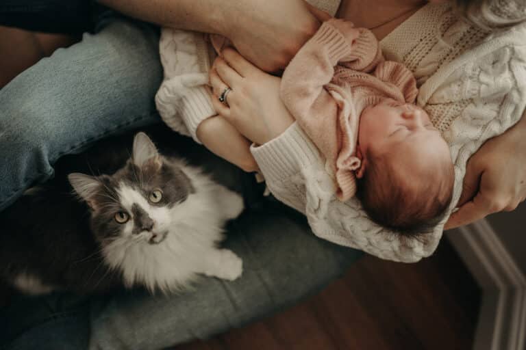 Newborn Photography St. Johns NL Photographer Babies In-Home Session