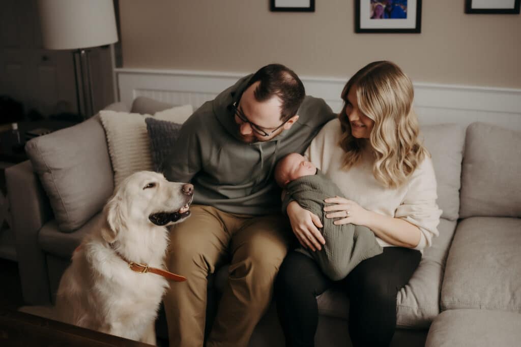 Newborn Photography St. John's NL Photographer Babies In-Home With Pets