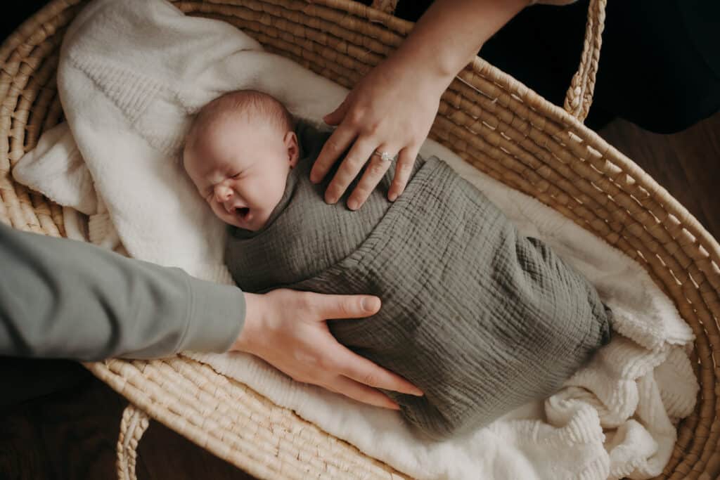 Newborn Photography St. John's NL Photographer Babies In-Home With Pets