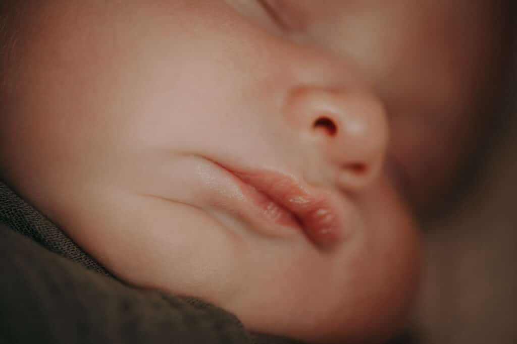 Newborn Photography St. John's NL Photographer Babies In-Home With Pets