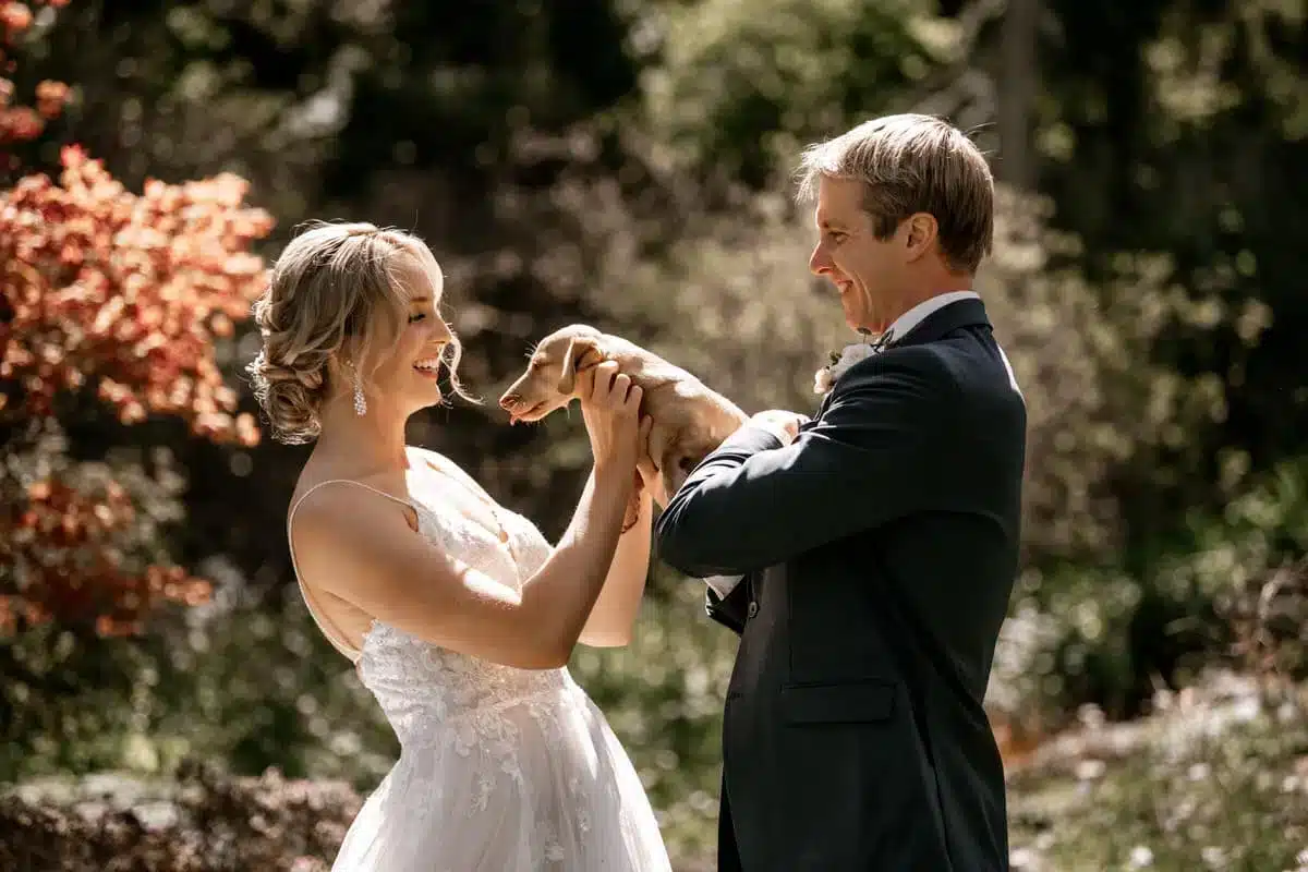 St. John's NL Elopement Photography